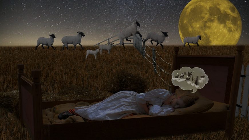 ¿Insomnio? Usa flores de Bach para dormir (I)